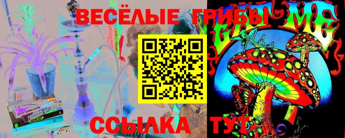 Галлюциногенные грибы Cubensis Отрадный
